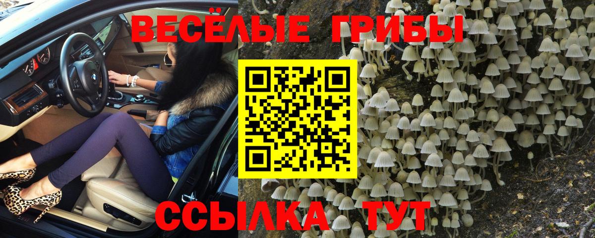 Галлюциногенные грибы GOLDEN TEACHER Кирово-Чепецк
